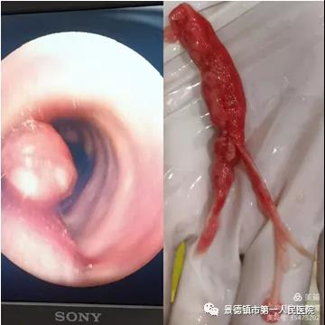微信圖片_20210207084533.jpg