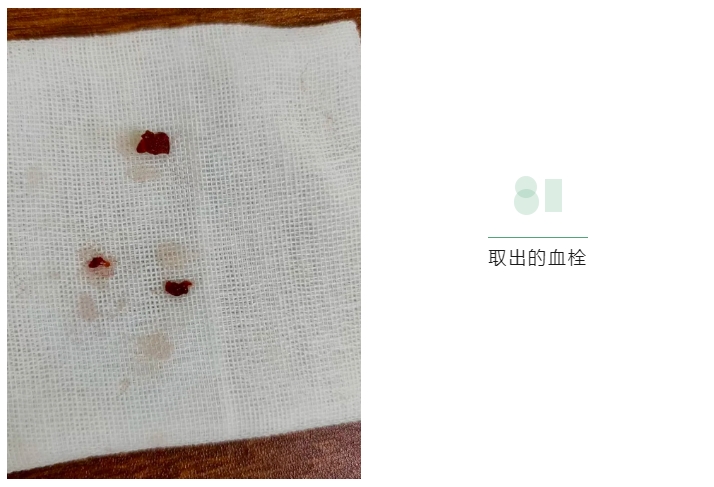 微信截圖_20240926090120.png