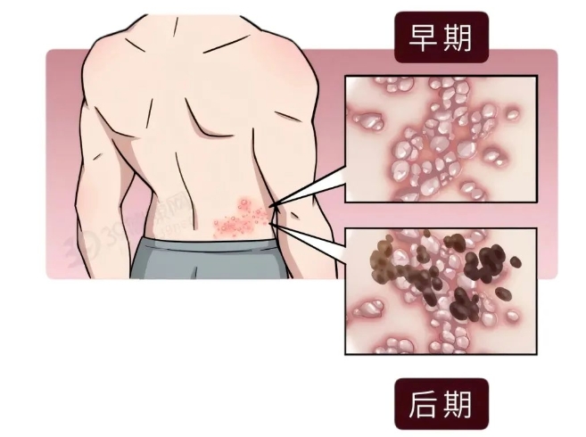 微信截圖_20250227155024.png
