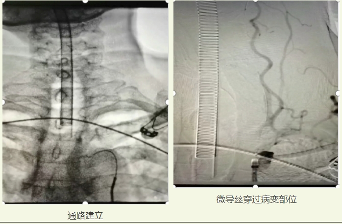微信截圖_20250227155202.png